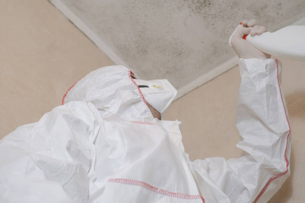 Best Preventive Mold Services in Archer City, TX